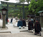 Chrám Izumo: brána torii